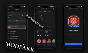Tesla Charging Passport