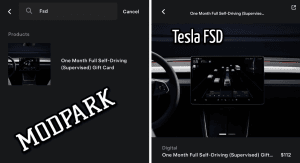 tesla fsd