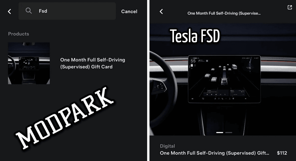 tesla fsd