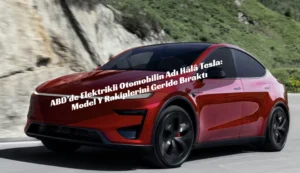 Tesla Model Y satış rakamları