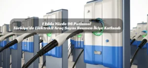 elektrikli araç sayısı